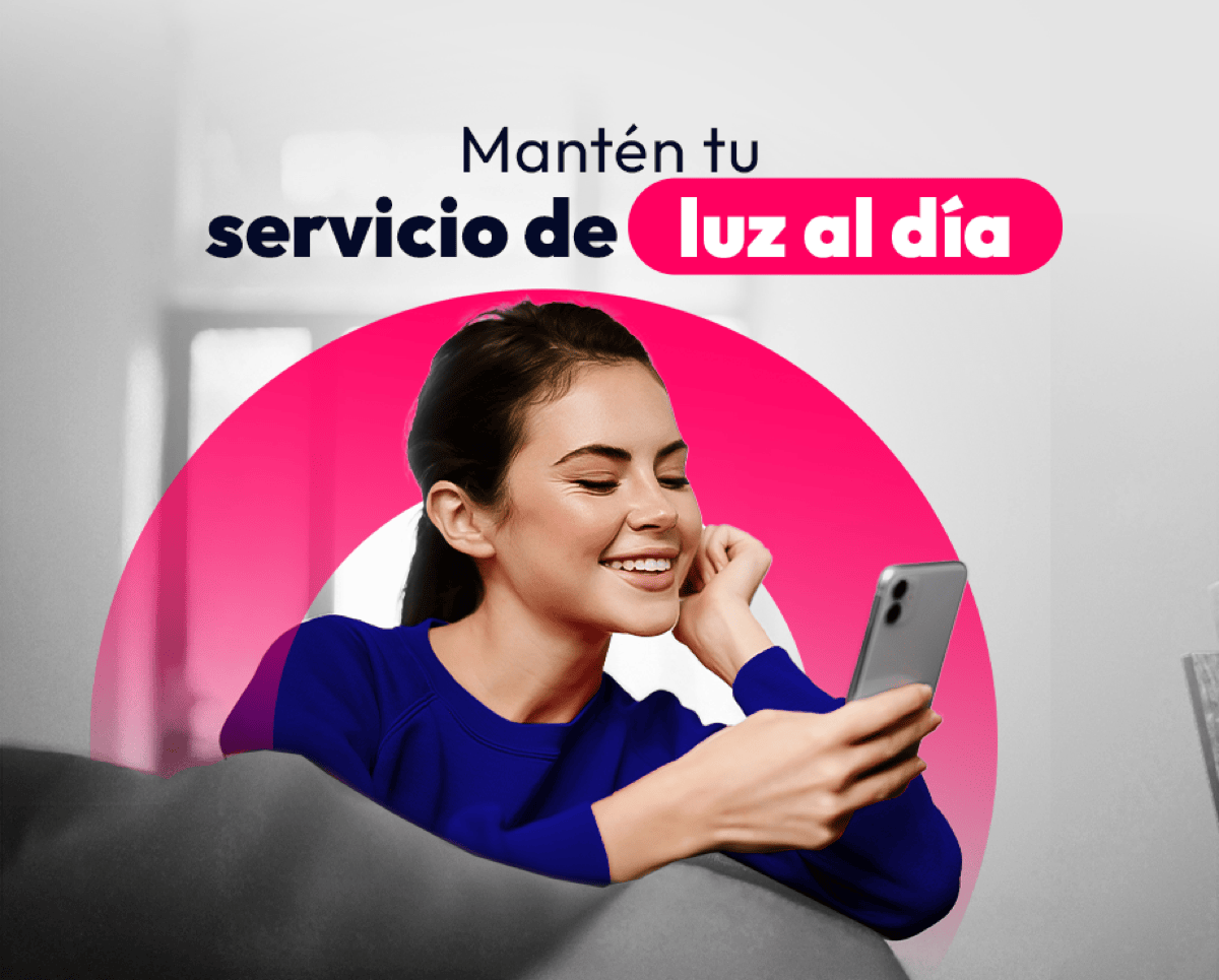 Pantalla de recaudación de servicios 3
